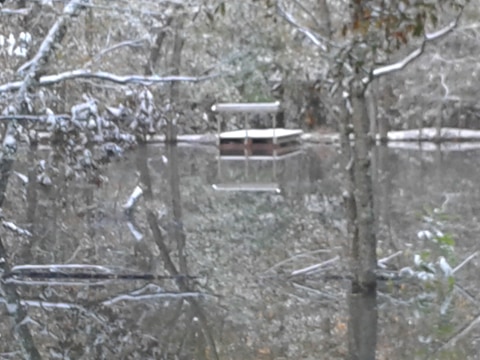 Attached picture pond snow 4.jpg